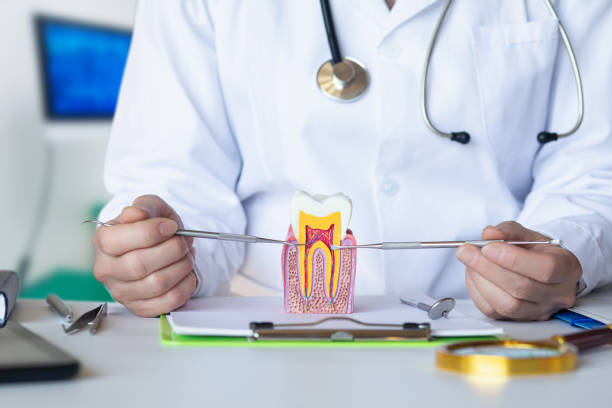 Best Emergency Treatment for Toothache in Petersburg, IL